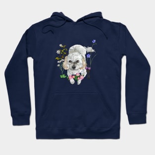 Havanese Hoodie